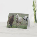 Search for horse friends cards Photography