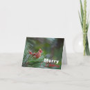 Search for merry note cards Red