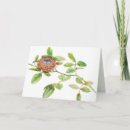 Search for nesting cards Bird nest