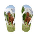 Search for pony shoes Ponies