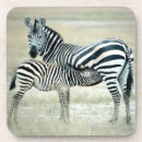 Search for feed barware Animal