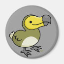 Search for dodo magnets Animals