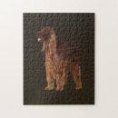 Search for irish setter puzzles Red