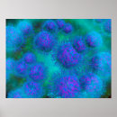 Search for abstract biology art Blue