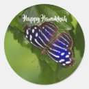 Search for blue winged butterfly stickers Animal