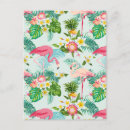 Search for vintage bird postcards Tropical