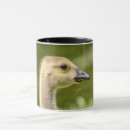 Search for canadian goose mugs Waterfowl