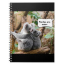Search for koala notebooks Funny