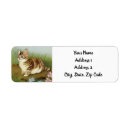 Search for storybook return address labels Cute