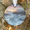 Search for carmel california christmas tree decorations Coastline