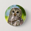 Search for avian badges Nature