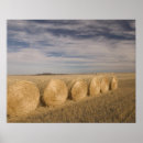 Search for saskatchewan canada posters Landscape