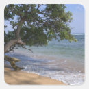 Search for scenic stickers Pacific
