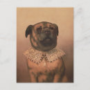 Search for pups postcards Dog