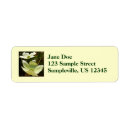 Search for dogwood return address labels Nature