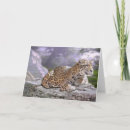Search for jaguar cards Feline