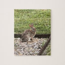 Search for bunny rabbit puzzles Wildlife