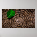 Search for tree stump posters Foliage