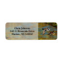 Search for mallard duck return address labels Waterfowl