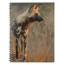 Search for wild one notebooks Close up