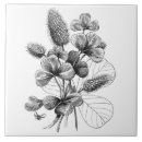 Search for botany tiles Flowers