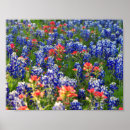Search for paintbrushes posters Nature