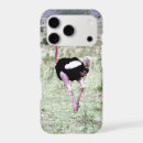 Search for ostrich bird iphone cases Africa
