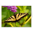 Search for pollination cards Wildlife