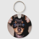 Search for min key rings Puppy