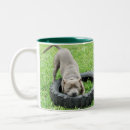 Search for staffordshire bull terrier mugs Dog