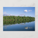 Search for amazons postcards Jungle