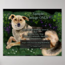 Search for commission posters Artist