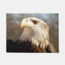Search for bold eagle Eagles