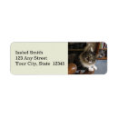 Search for boo return address labels Cat
