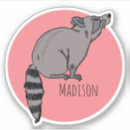Search for raccoon stickers Laptop