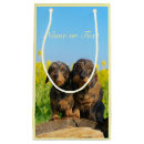 Search for dachshund gift bags Animal