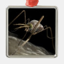 Search for mosquito christmas tree decorations Animal