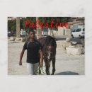 Search for palestinian postcards Israel