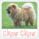 Search for chow chow stickers Puppy