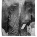 Search for elephants shower curtains Wildlife