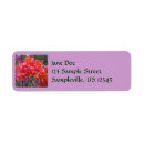 Search for tropical island return address labels Flower