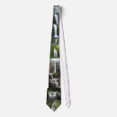 Search for small waterfall ties Forest