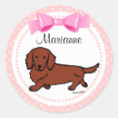 Search for long haired dachshund stickers Dog