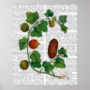 Search for squash posters Steampunk