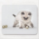 Search for ragdoll electronics Colour