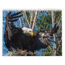 Search for eagle calendars Birds of prey