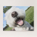Search for westie puzzles West highland terrier