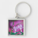 Search for credit key rings Nature