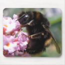 Search for bug pictures mousepads Flowers