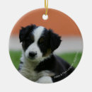 Search for border collie puppy christmas tree decorations Canine photographer